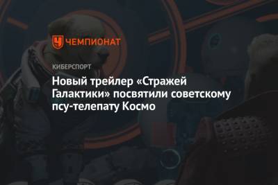 Новый трейлер «Стражей Галактики» посвятили советскому псу-телепату Космо