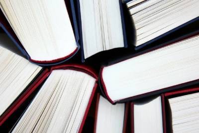 В ДНР получили 2 000 российских учебников