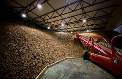 Континентал запустил новое картофелехранилище — самое современное в Украине