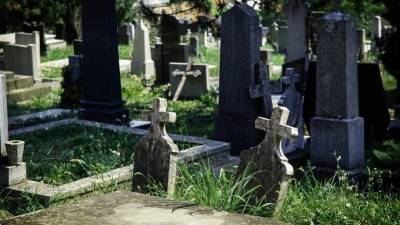 Уступи покойнику: в Бельгии открыли экокладбище с арендой могил на 25 лет