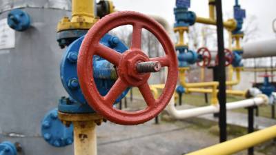 В Госдуме заявили о спекулятивном характере колебаний цен на газ в Европе