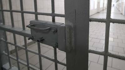 Арестованных за избиение в метро Москвы поместили в карцер
