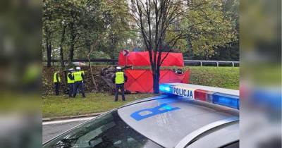 Тіла вирізали рятувальники: в Польщі в смертельній ДТП загинули молоді українці