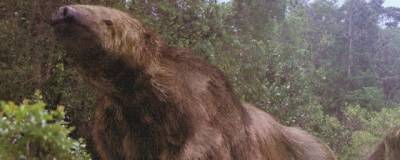 Гигантский ленивец Милодон употреблял не только растительную пищу, но и животный белок