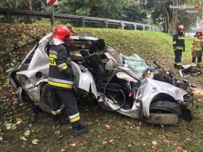 В Польше авто с украинцами влетело в дерево: погибли два человека