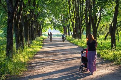 В Петербурге выбрали самые неблагоустроенные зеленые зоны