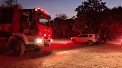 Подозрение: пропавшая без вести из группы риска устроила крупный пожар в парке Бегина - видео