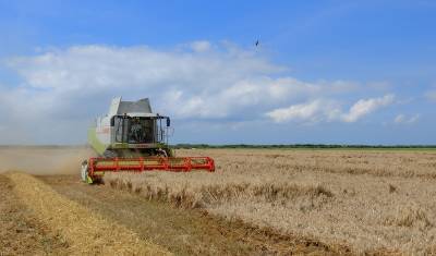 Россия передаст узбекским фермерам до миллиона гектаров земли в аренду
