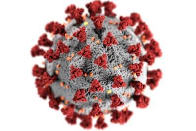 ВОЗ: число случаев коронавируса в мире превысило 236 млн