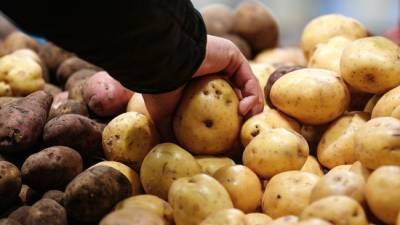 Экономист предсказал рост цен на картофель в России
