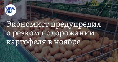 Экономист предупредил о резком подорожании картофеля в ноябре