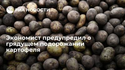 Эксперт Рамазанов: картофель может подорожать в ноябре из-за плохой урожайности