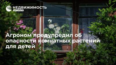 Агроном Ананьев предупредил об опасности комнатных растений для детей
