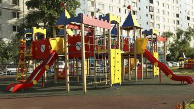 В Москве на детской площадке обнаружили краснокнижного ястреба