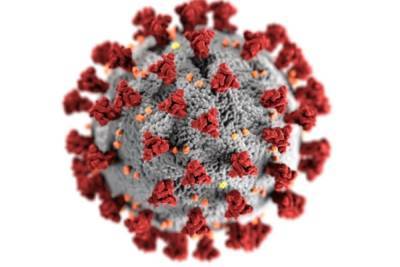 Врач озвучила возможные причины роста смертности от коронавируса