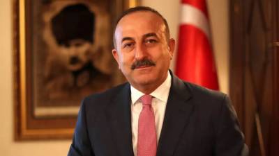 Турция поддерживает вступление в НАТО Украины и Грузии
