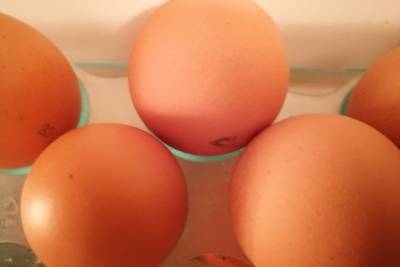 В Оренбурге проверяют яйца