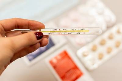 Появление гриппа ожидают в Забайкалье в 2021 году — Немакина