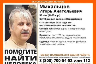 В Новосибирске грабители до комы избили поэта