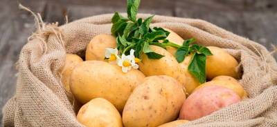Прогноз от профессора Ибрагима Рамазанова: в ноябре из-за плохой урожайности подорожает картофель