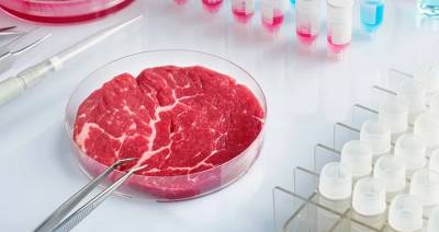 Датские ученые не верят, что клеточное мясо появится на рынке в ближайшее время