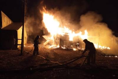 В Башкирии в пожаре на ферме погибли 20 телят
