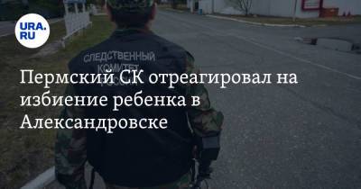 Пермский СК отреагировал на избиение ребенка в Александровске