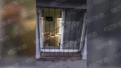 В подвале жилого дома в Иркутске обнаружили подозрительный хоспис
