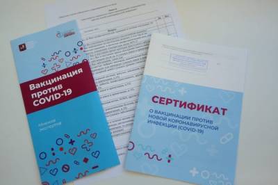 Документы отправлены: договорятся ли Россия и ЕС о взаимном признании COVID-сертификатов