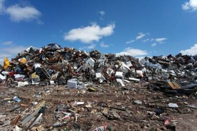 В Хабаровском крае на сельхоз участке обнаружили сорняки и мусор