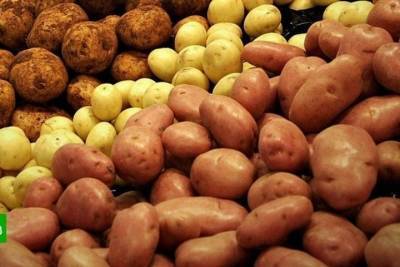 В Заполярье подорожали картофель и куры