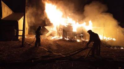 В Башкирии при пожаре погибли телята