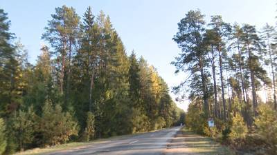 Акция «Чистый лес» пройдёт в Беларуси