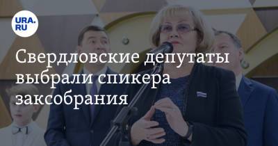 Свердловские депутаты выбрали спикера заксобрания