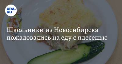 Школьники из Новосибирска пожаловались на еду с плесенью