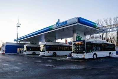 250 работающих на газу автобусов доставят в Петербург до конца октября