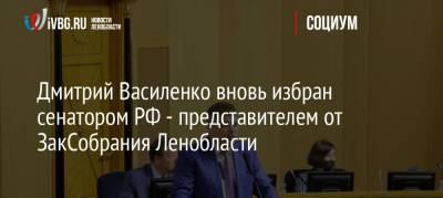 Дмитрий Василенко вновь избран сенатором РФ — представителем от ЗакСобрания Ленобласти