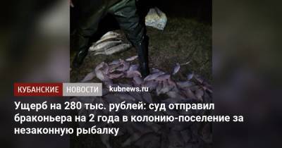 Ущерб на 280 тыс. рублей: суд отправил браконьера на 2 года в колонию-поселение за незаконную рыбалку