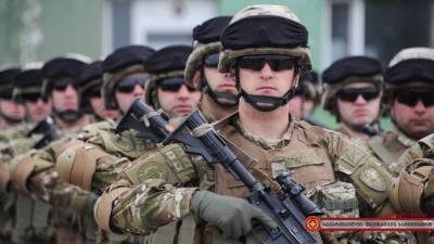 Численность Сил обороны Грузии в 2022 году останется прежней — 37 тыс.