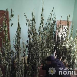 У жителя Запорожского района изъяли 12 кг наркотиков. Фото