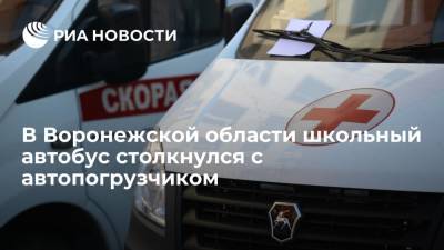 Школьный автобус столкнулся с автопогрузчиком в Воронежской области, есть пострадавшие