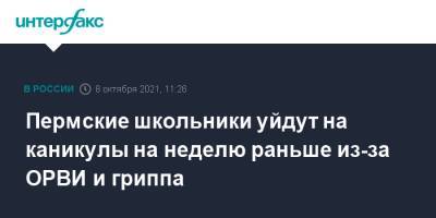 Пермские школьники уйдут на каникулы на неделю раньше из-за ОРВИ и гриппа