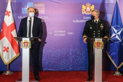 НАТО и Грузию связывает уникальное партнерство — глава Военного комитета