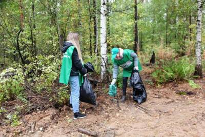 Участники акции «Чистые леса Татарстана» вывезли более 800 кубометров мусора