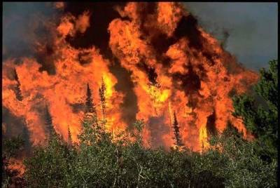 Пожароопасность лесов сохранится на востоке Нижегородской области с 9 по 13 октября