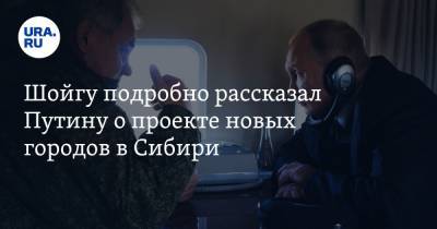 Шойгу подробно рассказал Путину о проекте новых городов в Сибири