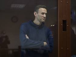 Алексей Навальный - Александр Шульгин - Россия передала ОЗХО ответ на запрос 45 стран по ситуации с Навальным - newsland.com - Москва - Россия - Германия - Франция - Швеция