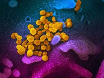 Соотношение между двумя типами антител позволяет узнать степень тяжести перенесенной коронавирусной инфекции