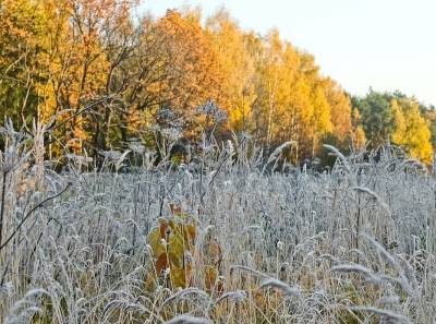 Похолодание в Смоленской области будет усиливаться