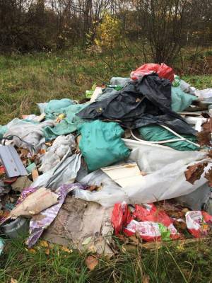 Свалку мусора обнаружили возле Анненских укреплений в Выборге – фото